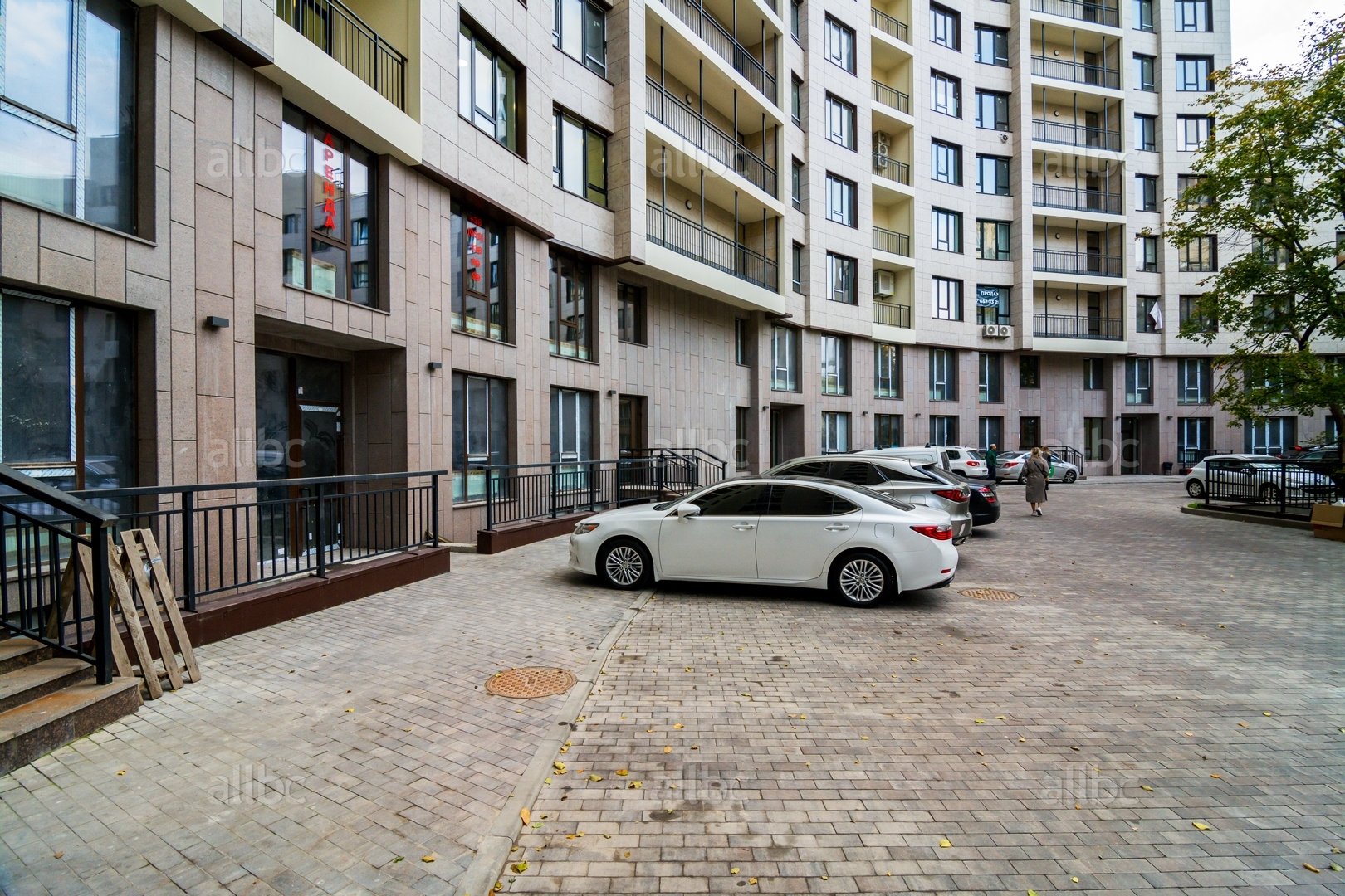 �� Cardinal ����