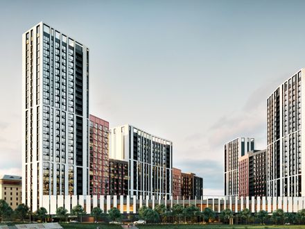 �� ����� ����