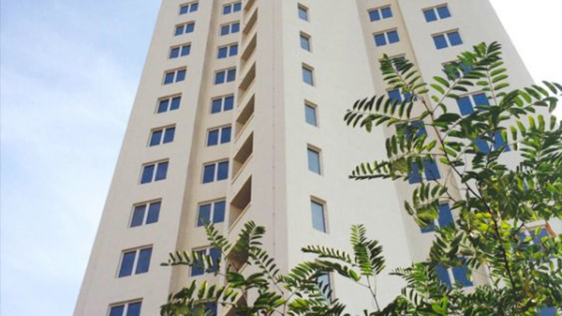 �� ������� ����� ����