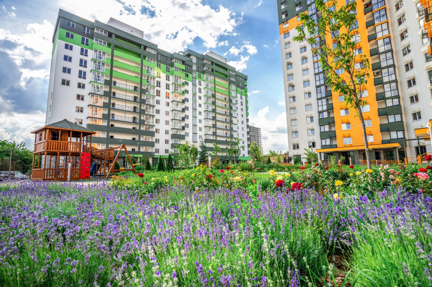 �� �������� ���� ����