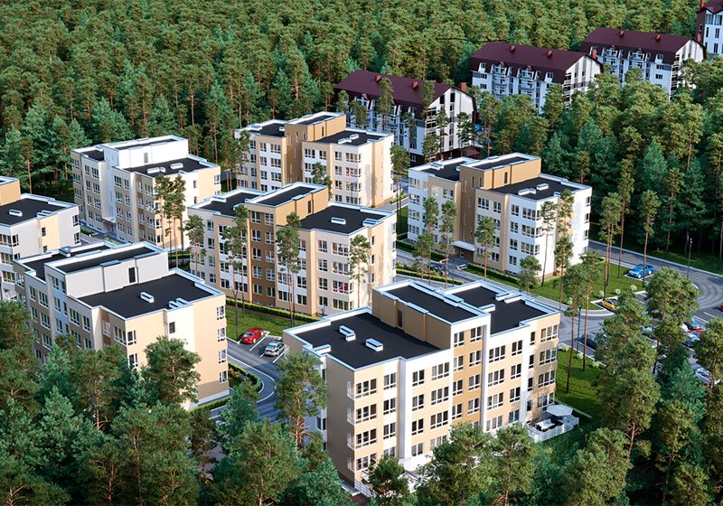 �� ���� ����