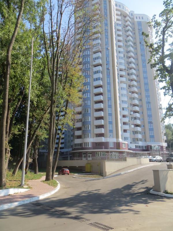 �� �������� ���� ����