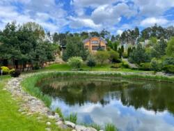 ������� ������� �������, �����, ��������� ���� 5