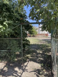 ����� �� ��-�� ������� ����� ���� 2