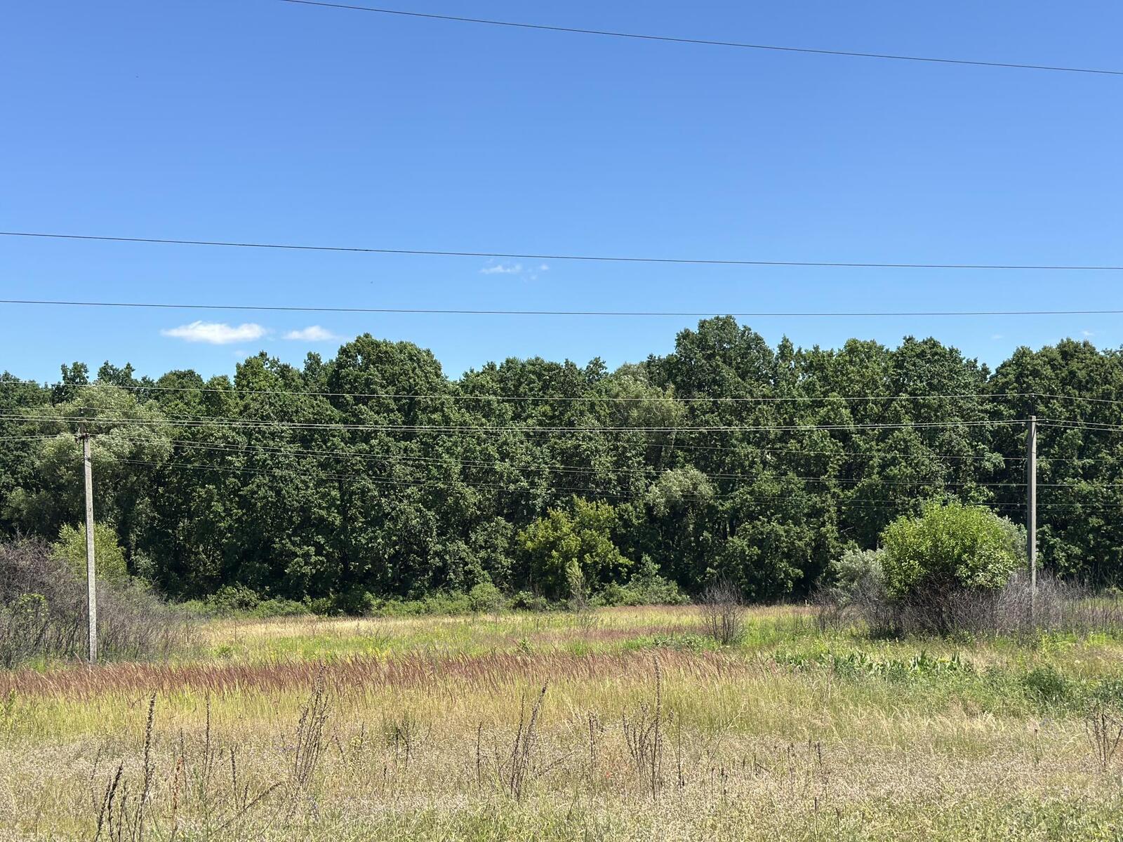 Земельна ділянка 16 сот біля лісу с.Власівка, Баришівський р-н фото 1 Земельна ділянка 16 сот біля лісу с.Власівка, Баришівський р-н фото 1