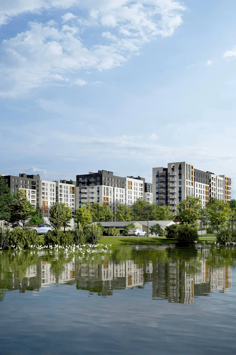 �� ѳ������ Comfort 2 ����