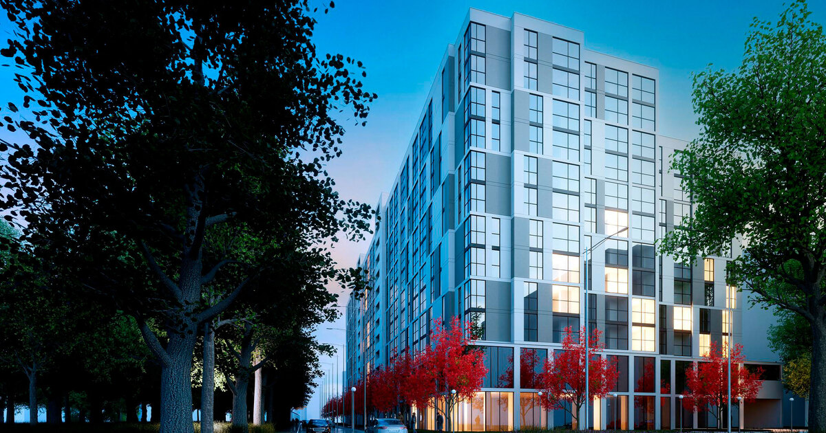 ����� ����