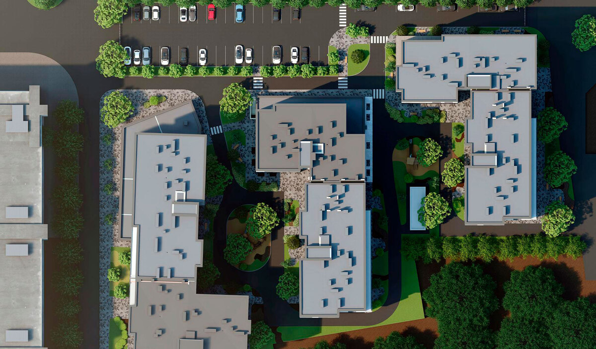 �������� ����