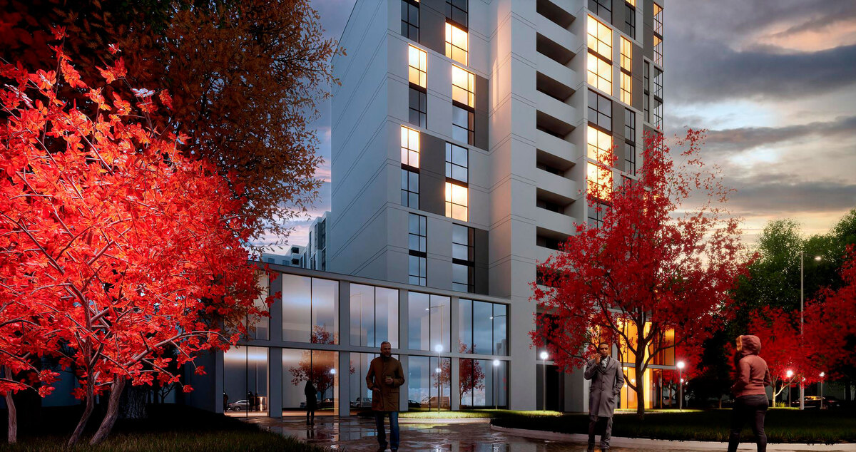 ����� ����