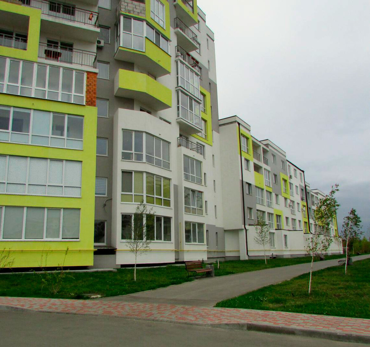 ��� ѳ� ����