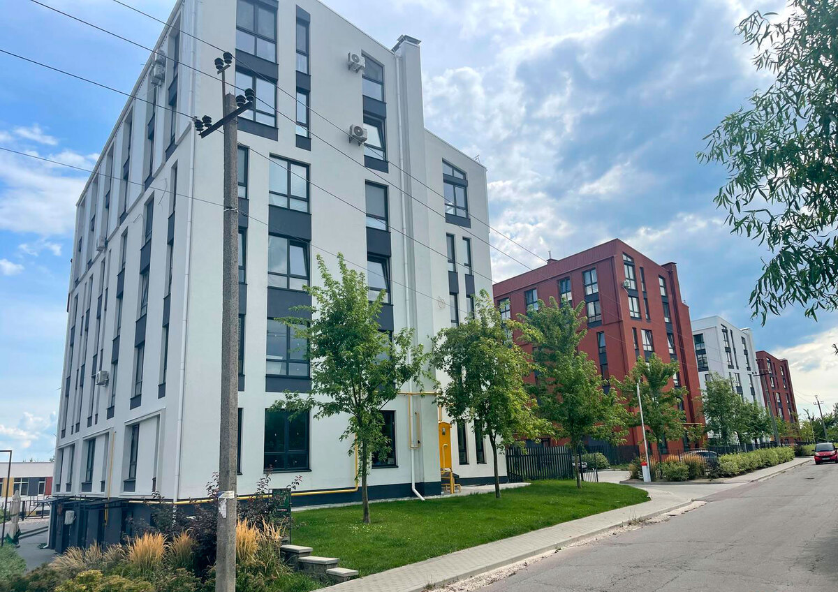 ������ ����