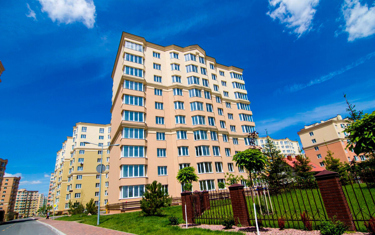 ����� ѳ� ����