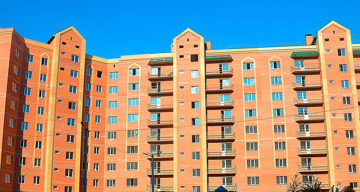 ������ ����