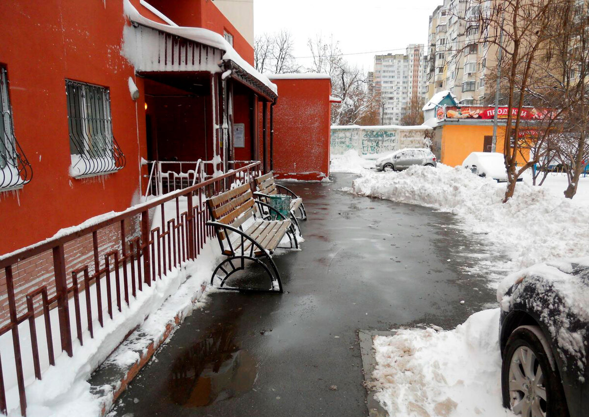 ̳������ ����