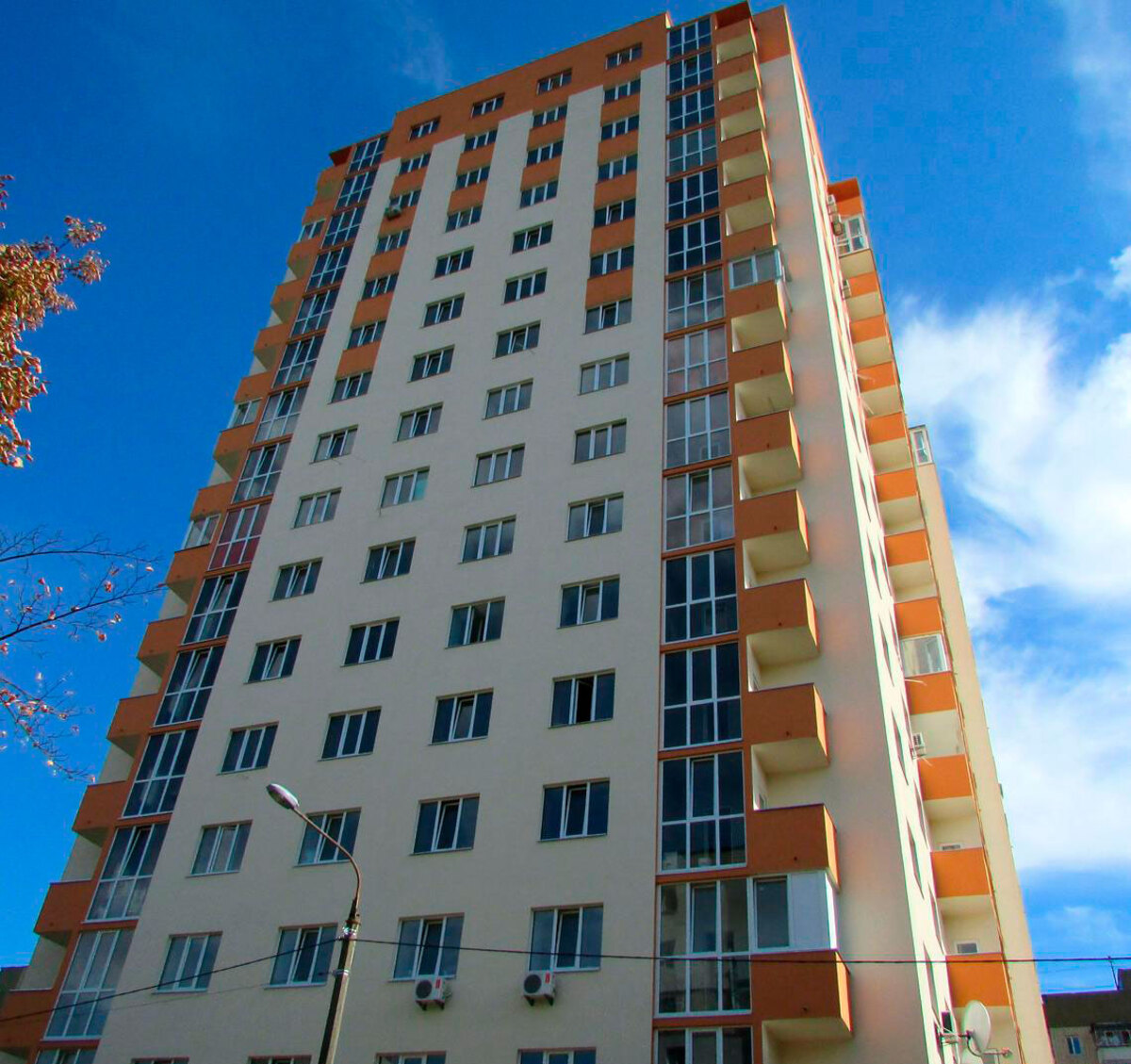 ̳������ ����