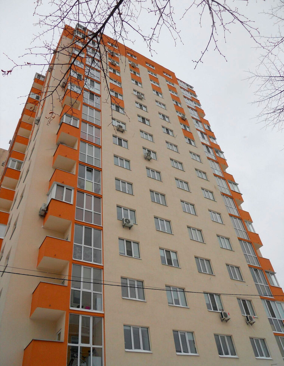 ̳������ ����