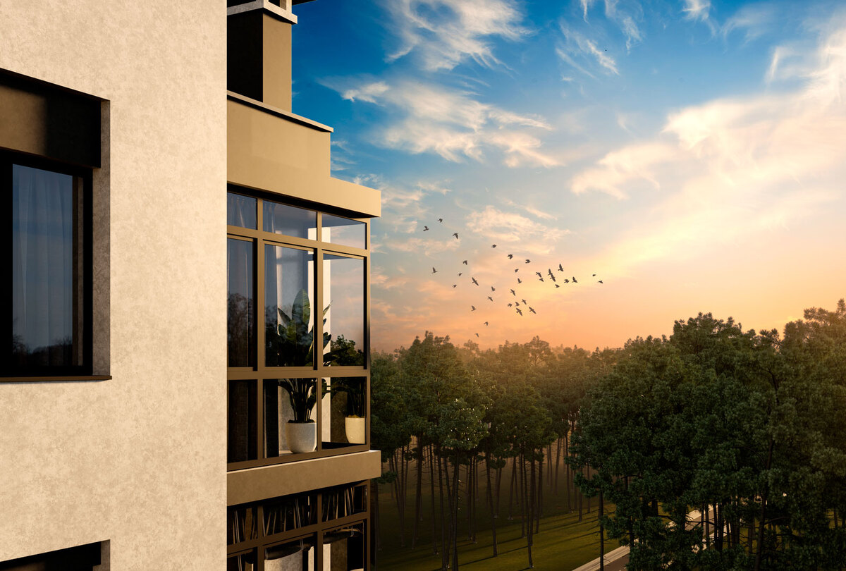 ������ (���������) ����