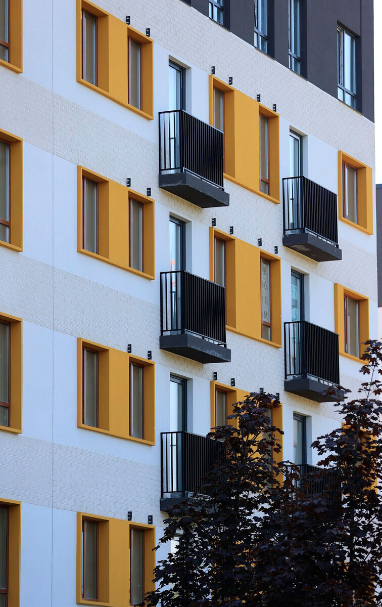 �������� ����