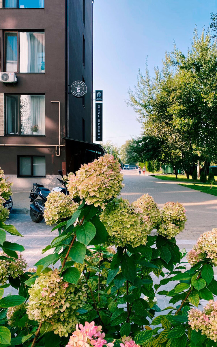 ����� �������.Center ����