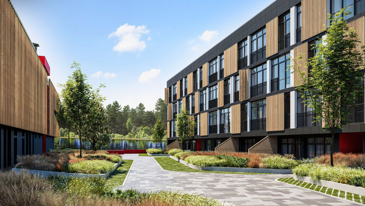 Luxberry lakes & forest 