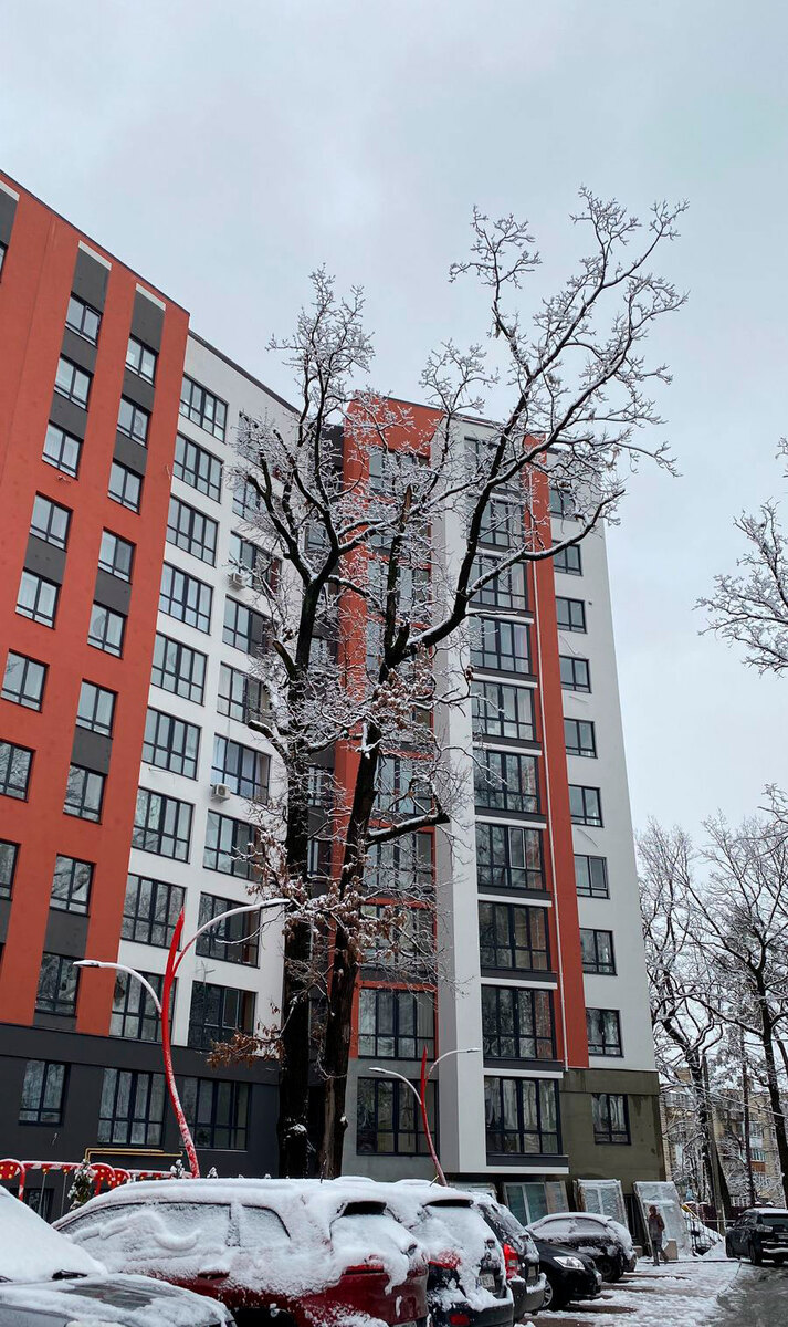 Green Life-3 ����