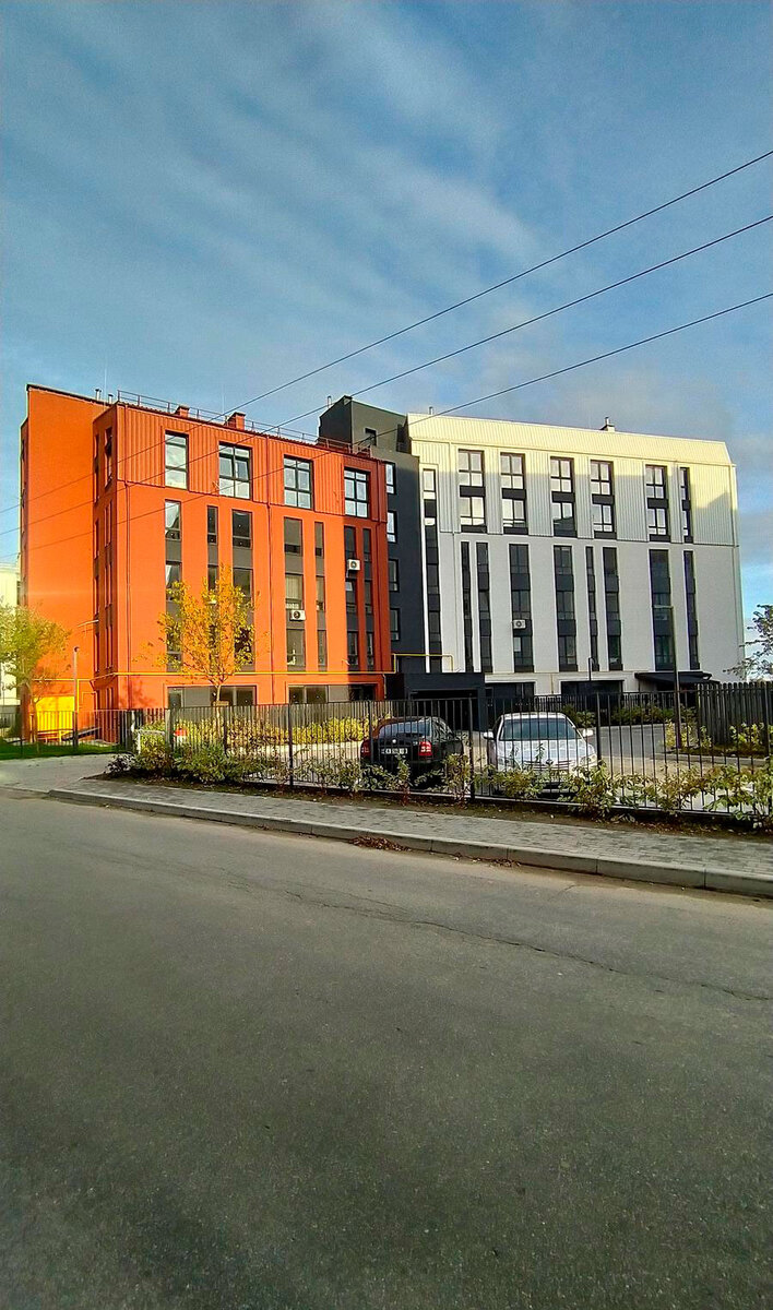 ������ ����