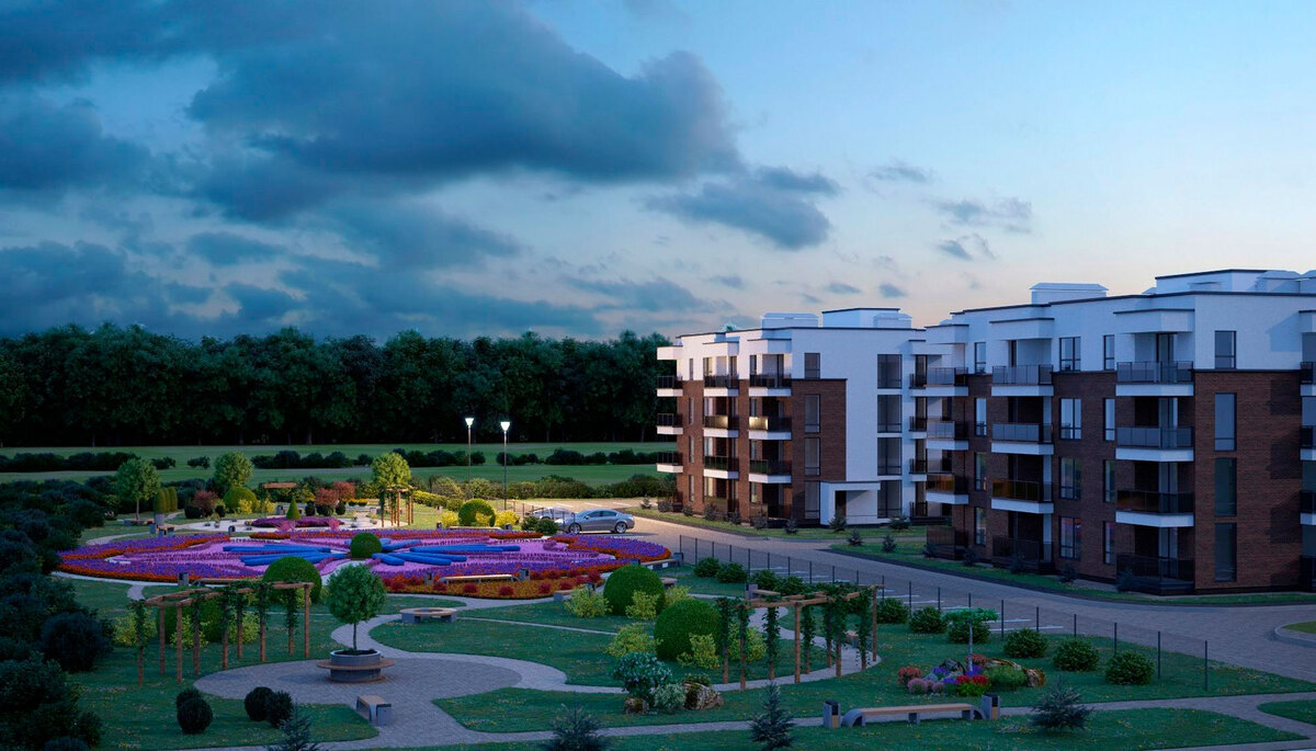 ���� ��� ����