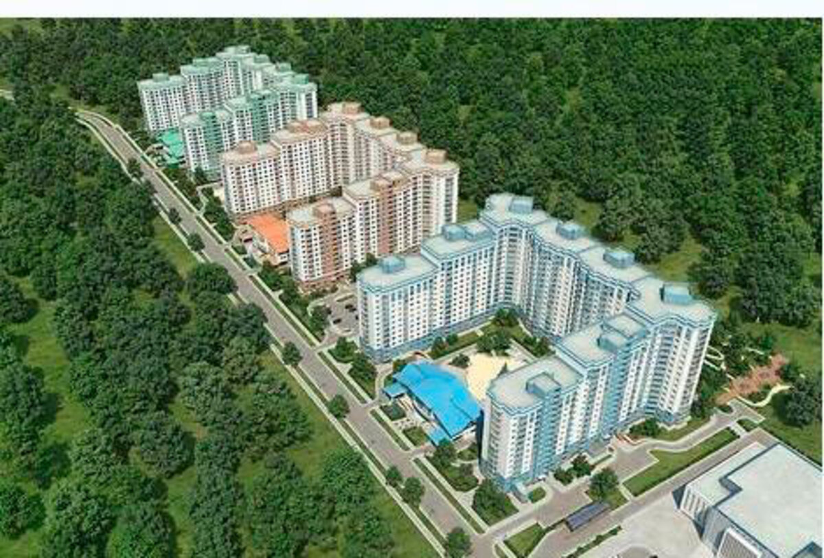 �����-���������� ����