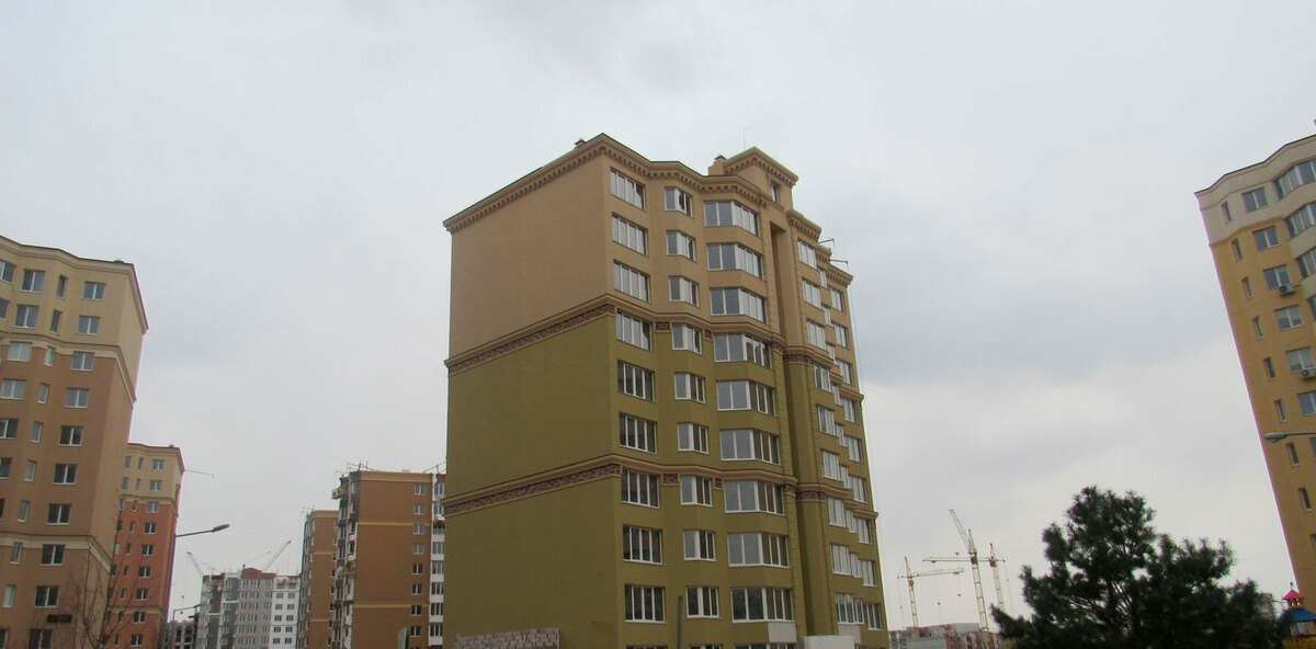 ����� ѳ� ����