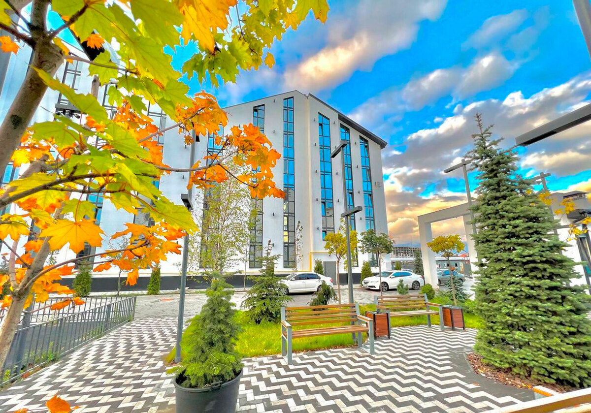 Aura Center ����