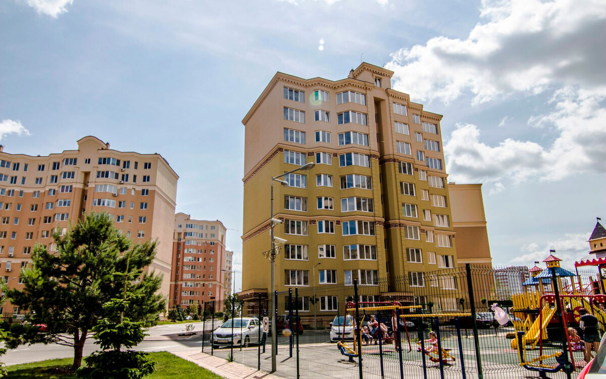 ����� ѳ� ����