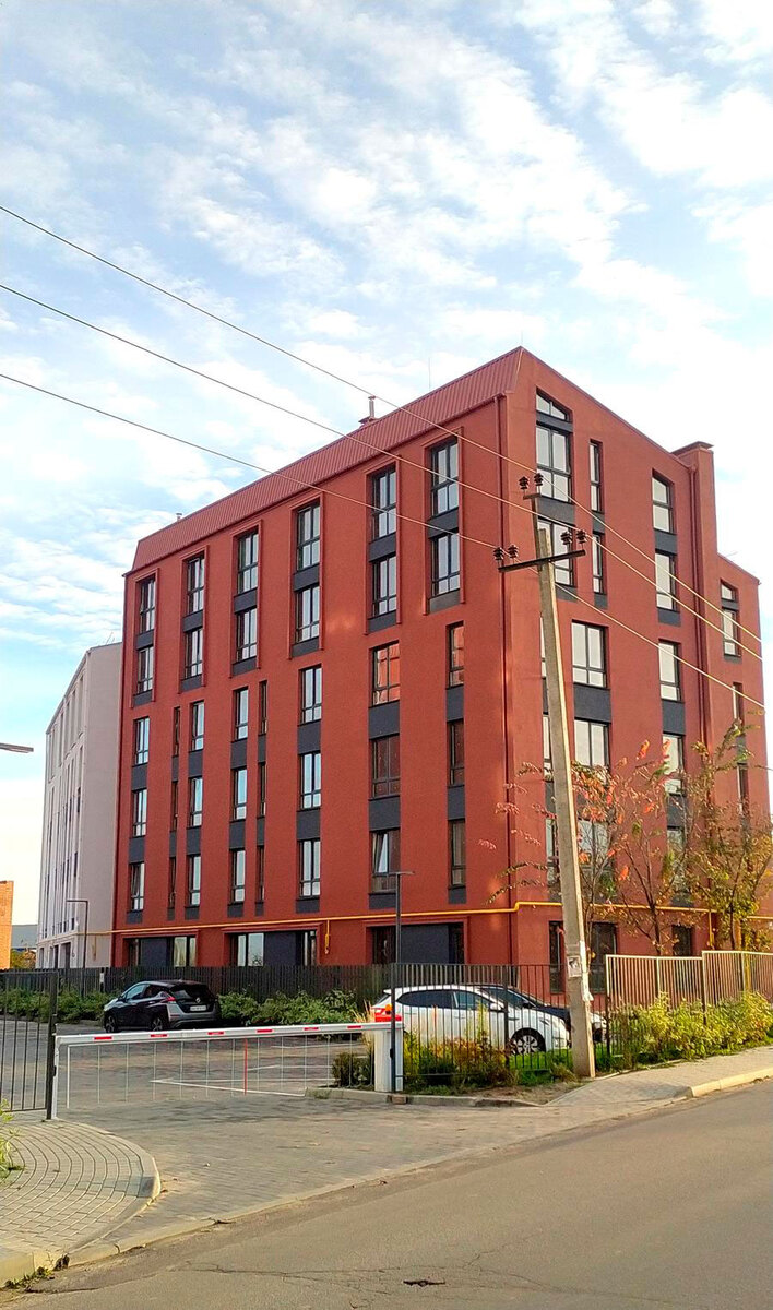 ������ ����