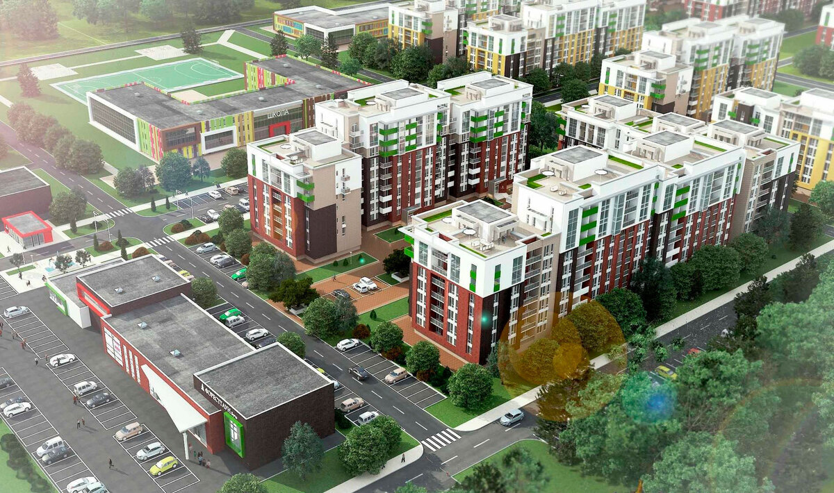 Forest Land ����