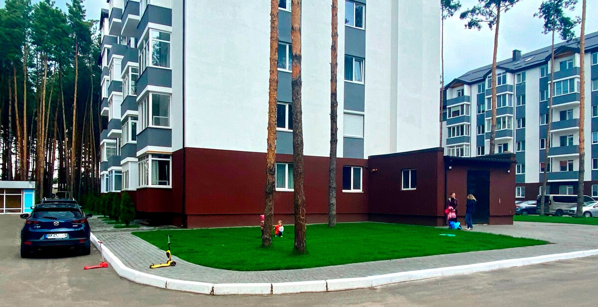 ���� ����