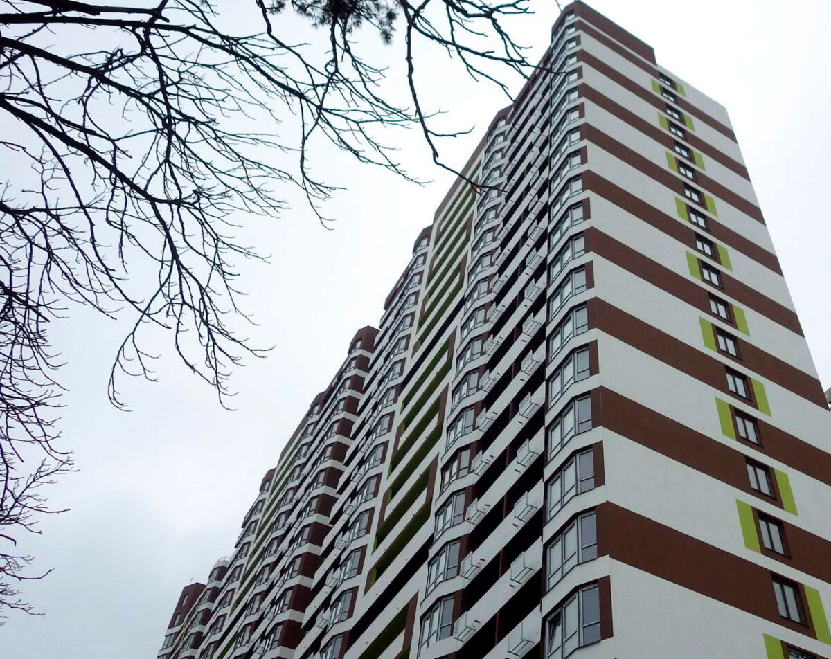 �����-2 ����