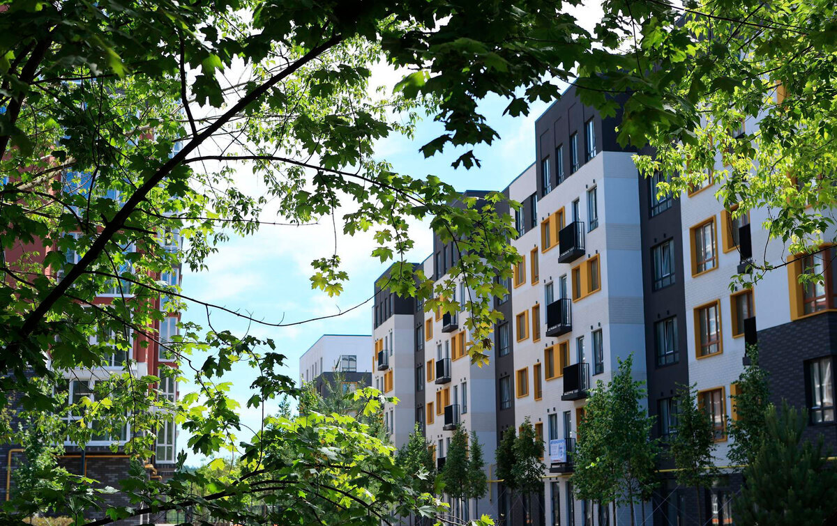 �������� ����