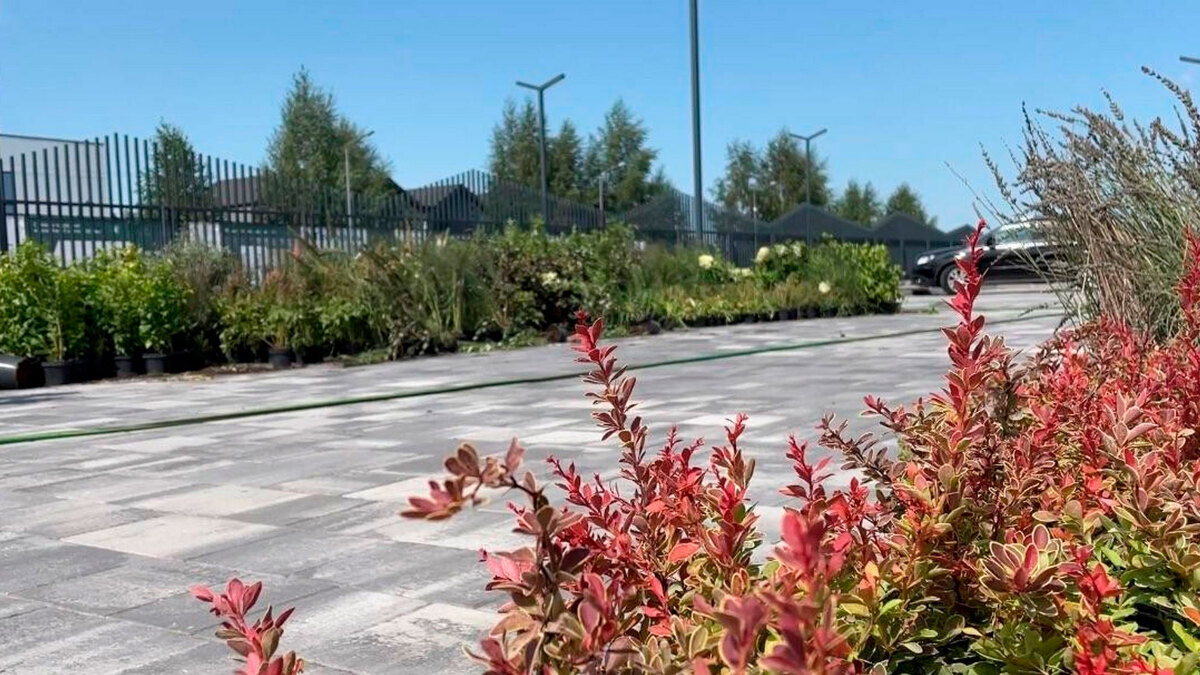 Park Residence ����