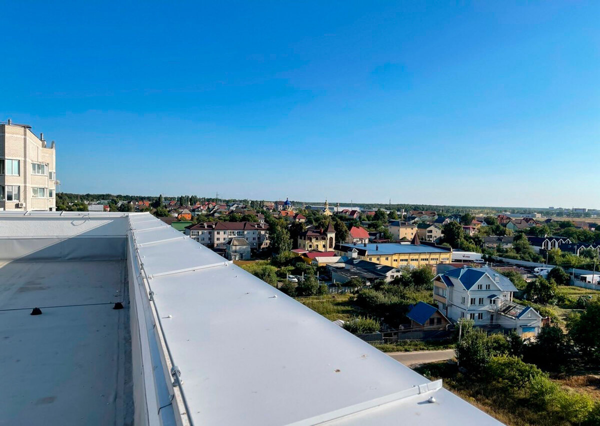 �������� ����� ����