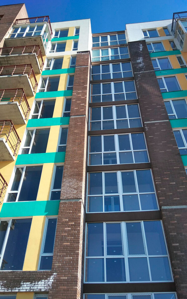 Forest Land ����