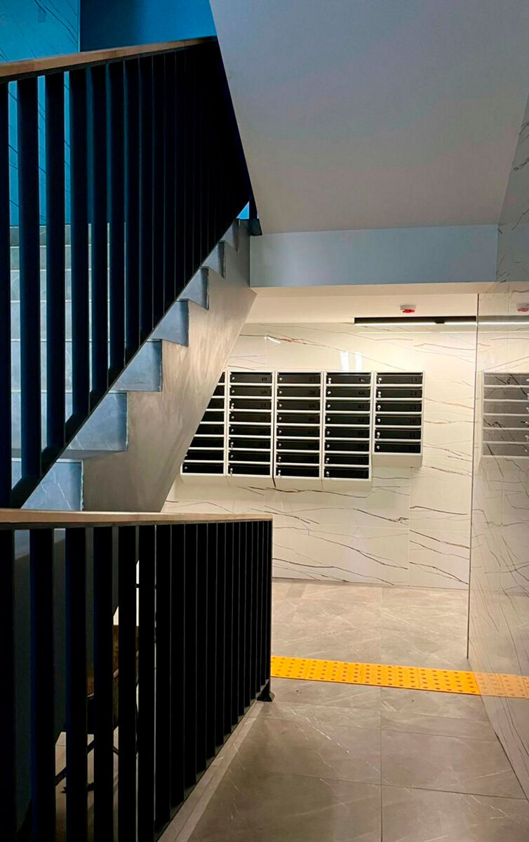 �������� ����