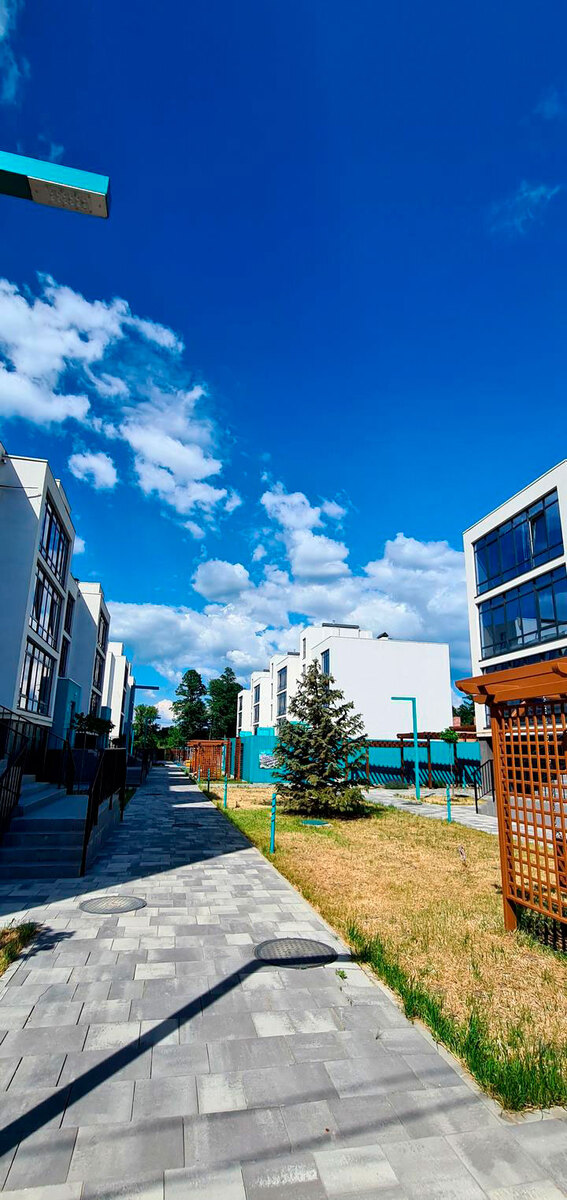 ��� ����