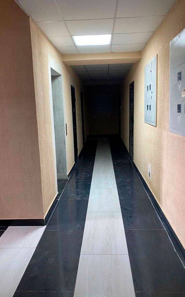 ���� �����-����� ����