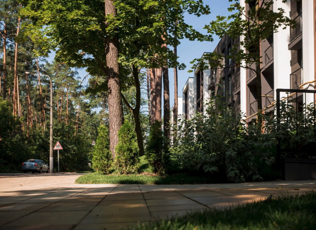 Forest Park 
