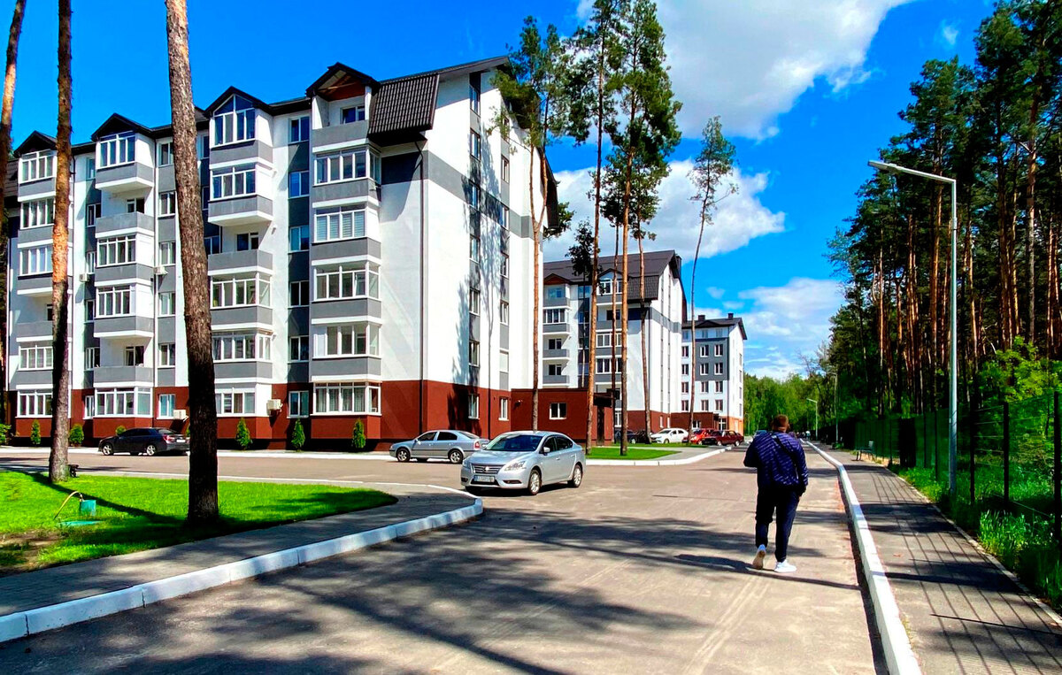 ���� ����