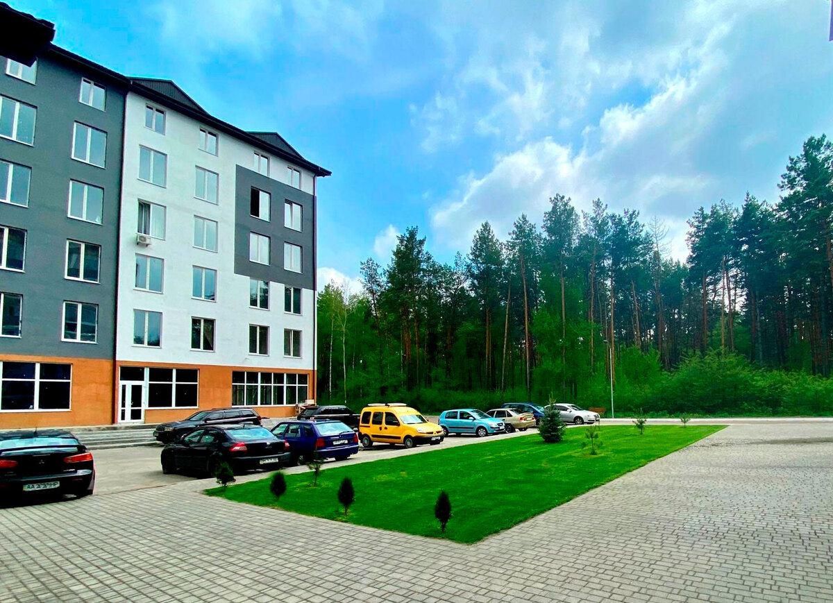 ���� ����