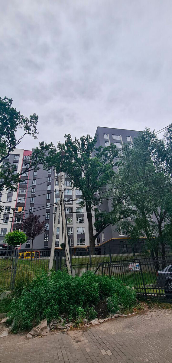 ��� ����� Park ����