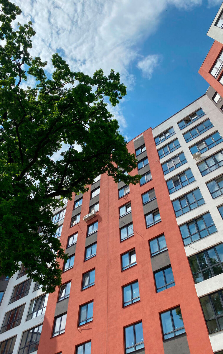 Green Life-3 ����