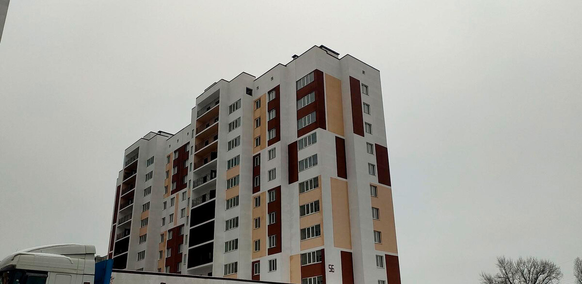 ���� ������ ����