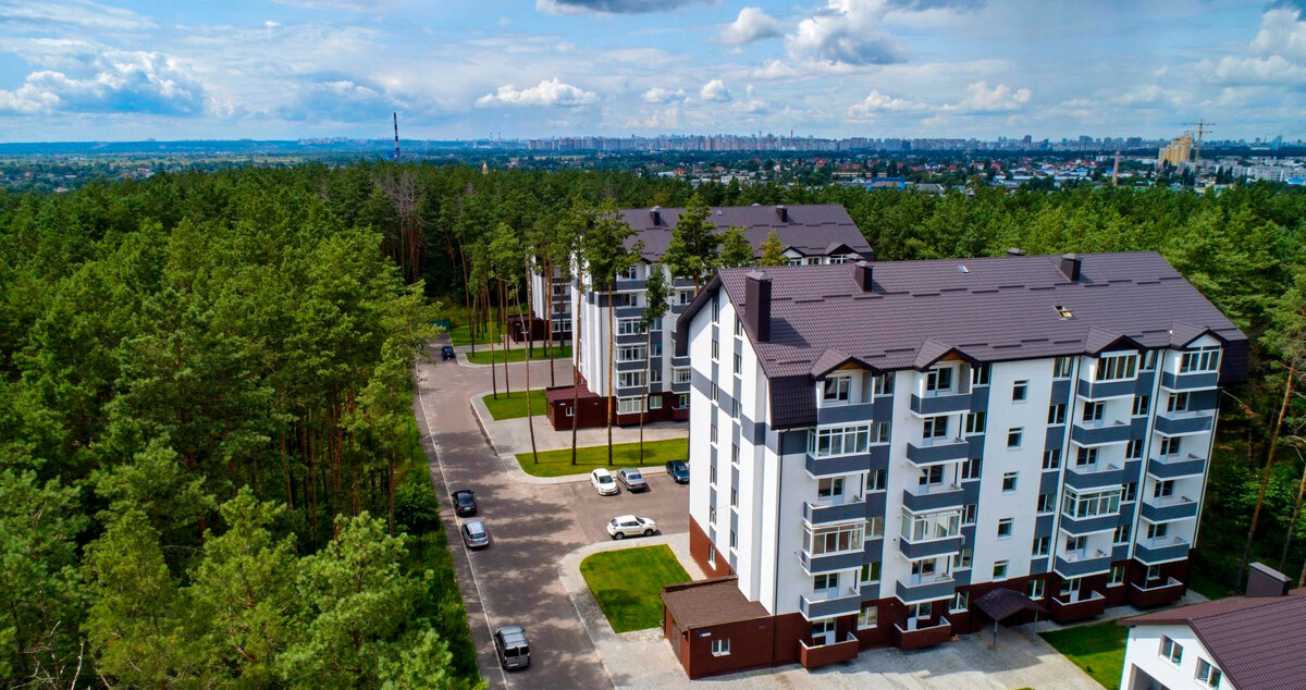 ���� ����