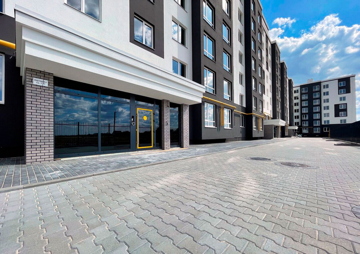 �������� ����� ����